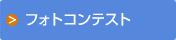 フォトコンテスト