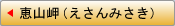 恵山岬（えさんみさき）