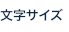文字サイズ