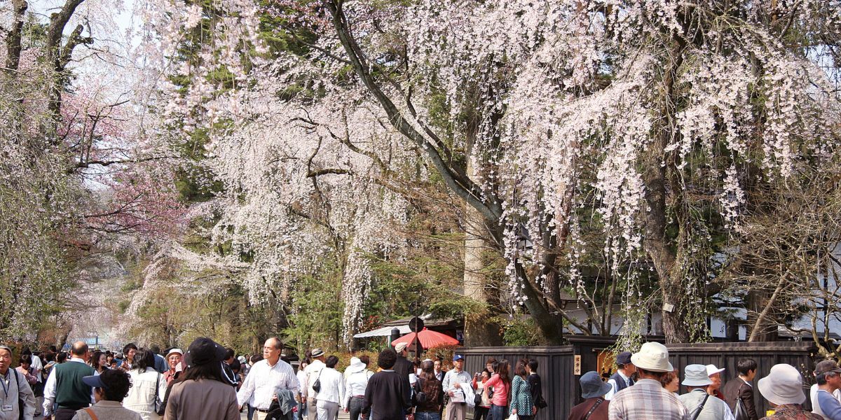 東北・角館の街並み