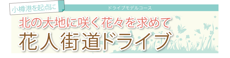 北海道のお花を堪能！花人街道ドライブ