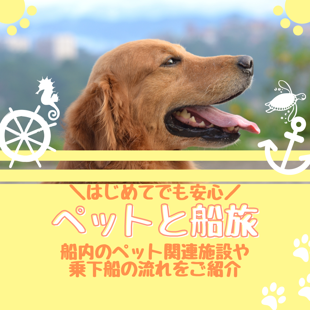 ペット 1 新日本海フェリー 舞鶴 敦賀 新潟 秋田と北海道を結ぶフェリー航路