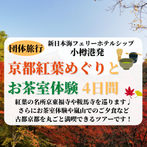 プラン 舞鶴 敦賀 新潟 秋田と北海道を結ぶフェリー航路 プラン 舞鶴 敦賀 新潟 秋田と北海道を結ぶフェリー航路